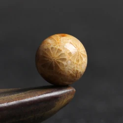 5A Natural Coral Chalcedony Single Bead DIY Beads Jewelry Making