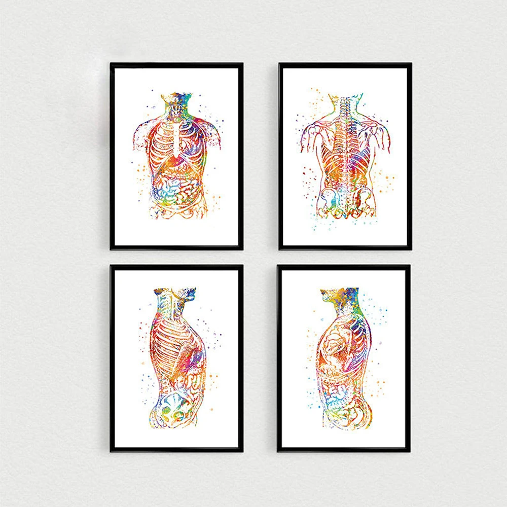 Anatomy Art Human Body Abdomen Wall Art Canvas Painting Nordic Clinical Medical Poster and Print Wall Pictures for Doctor Office