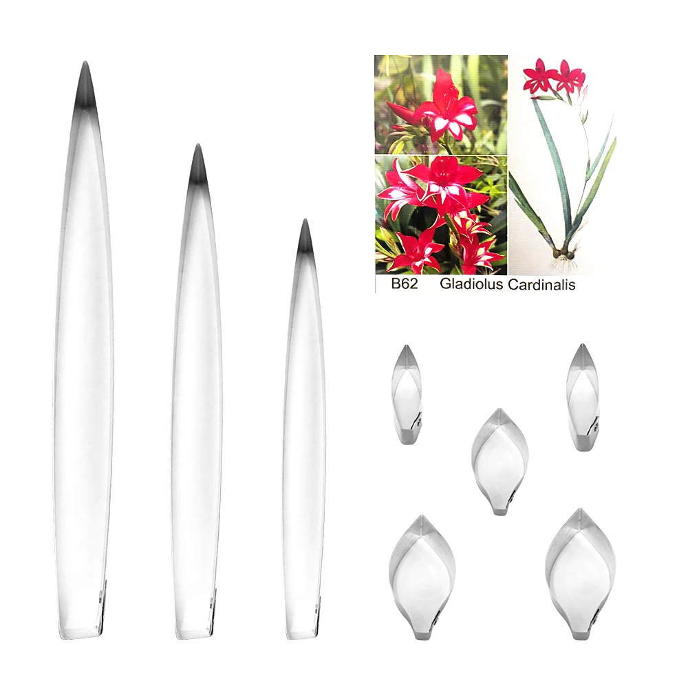 Gladiolus Cardinalis Fondant sugar flower cutters baking cake decorations Polymer Clay Cold Porcelain gumpaste tools