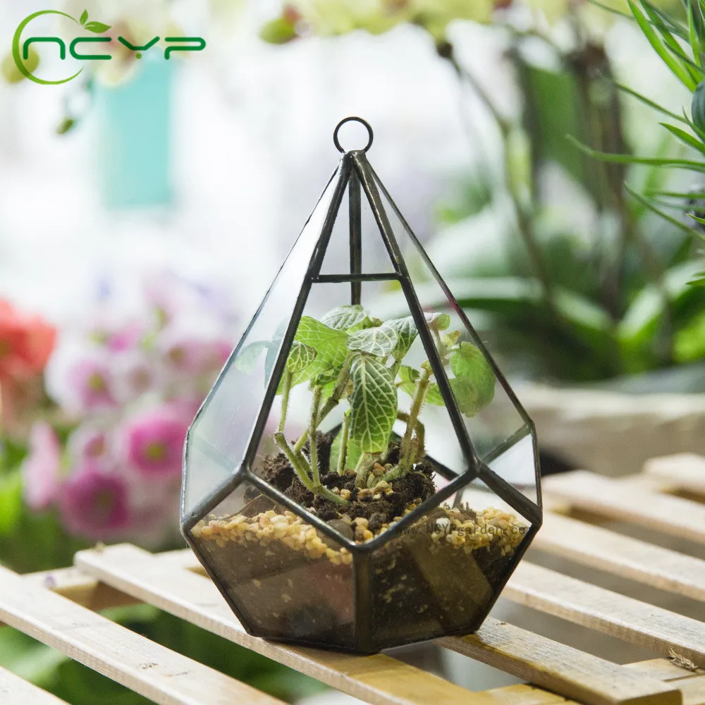 

NCYP Modern Glass Flower Pot Terrarium Containers 3MM Thick Diamond Artistic Tears Shape Glass Terrarium Hanging Flowerpot