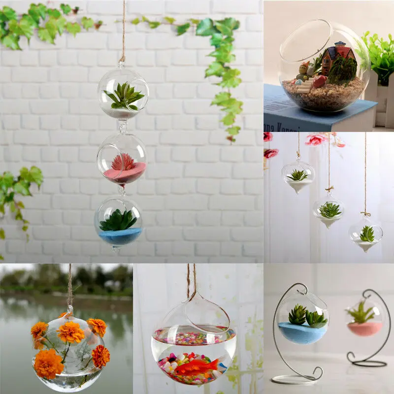 Terrarium Ball Globe Shape Clear Hanging Glass Vase Flower Plants Container Ornament Micro Landscape DIY Wedding Home Decor