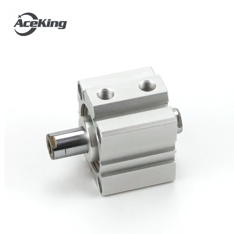 SDAD12X10X15X20X25 '30' 35 '40' 45X50 '75' 100BS المزدوج رمح رقيقة اسطوانة SDAD SDAD12-10 SDAD12-15 SDAD12-20 SDAD12-25 SDAD12-30