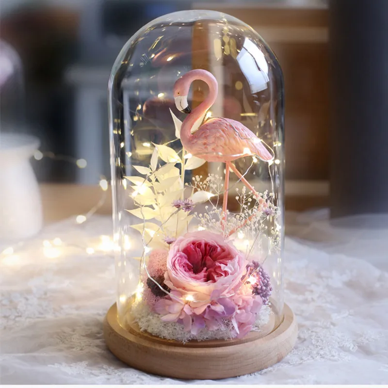 10*15 سنتيمتر متوسطة الحجم زجاج شفاف قبة زهرية ديكور المنزل سجل قاعدة غطاء صديق بها بنفسك صديق هدية الزفاف الديكور #4