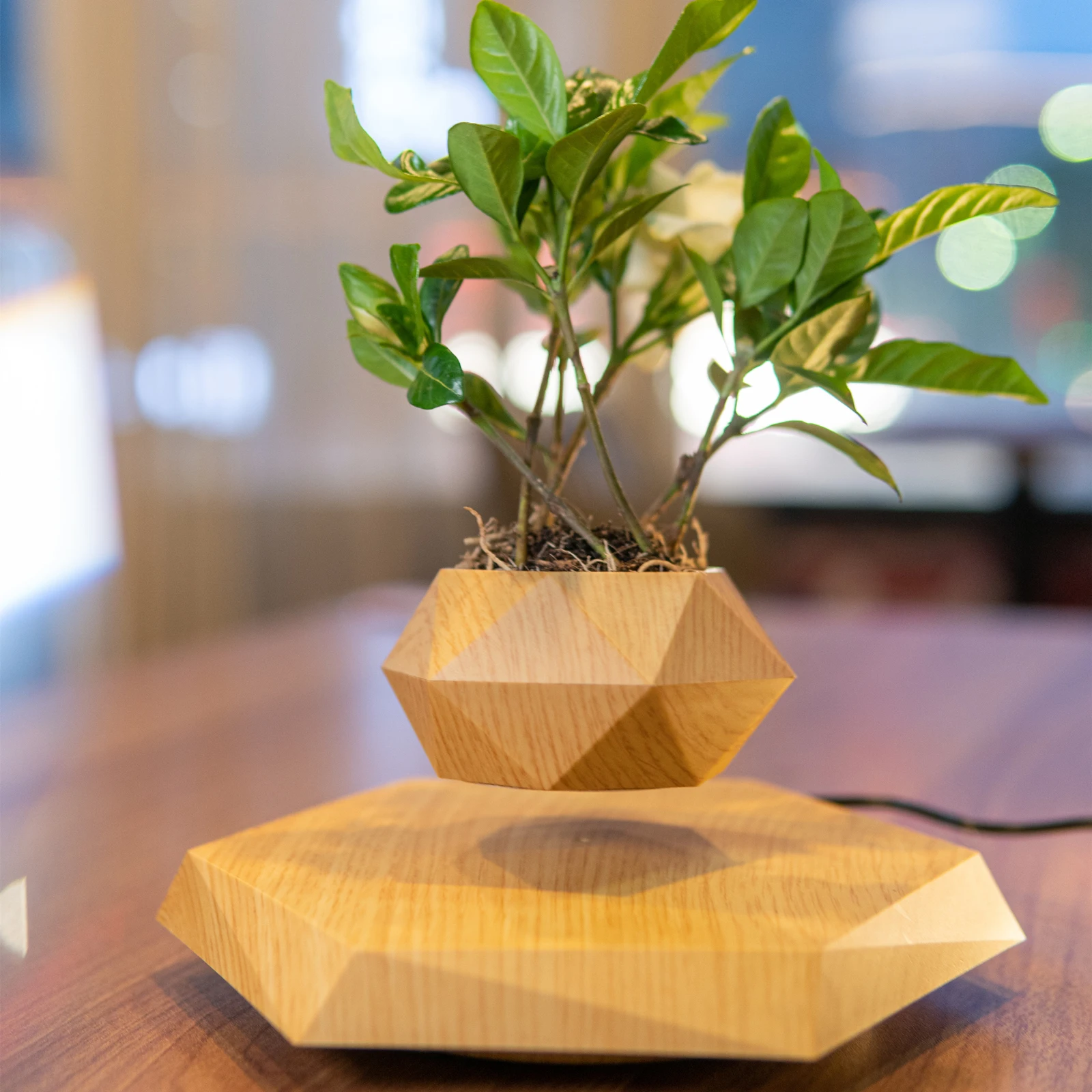 HCNT Magnetic Levitating Plant Pot Wooden Color Floating Flower Pot Levitation Bonsai Planter Rotating Home Decor For Christmas