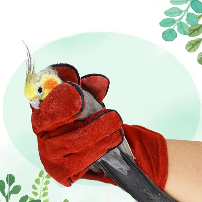 Bird Parrot Training Anti-bite Gloves Hamster Chewing Scratching Handling Gloves Working Safety Protective Gloves for Small Pet