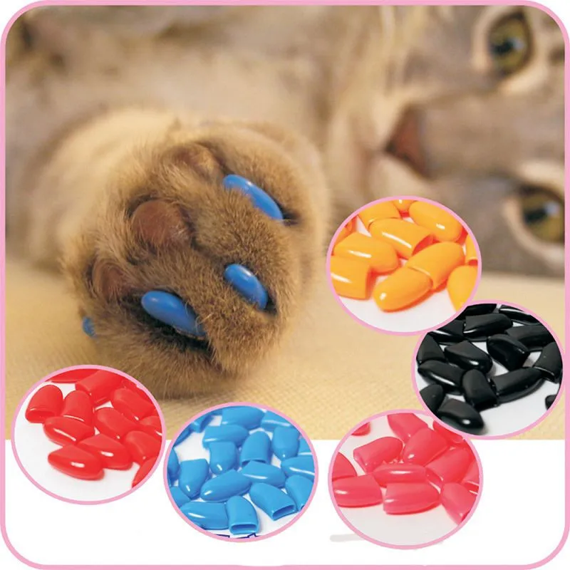 20 Pcs/lot Pet Dog Finger Grooming Floor Protect Pet Dog Nail Caps Claw Control Soft Paw Caps + Adhesive Pet Supplies