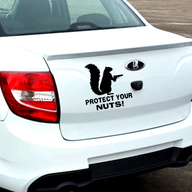 HZX1178 15x15cm squirrel protect your nuts car sticker commemorate Vinyl Decals Motorcycle Accessories Stickers