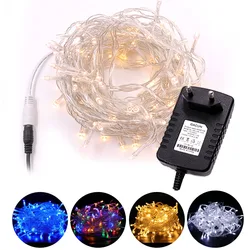 10-100M DC 12V Fairy String Lights Micro Rice Wire Silver Wire Waterproof Outdoor Led String Light for Christmas Party Supplies