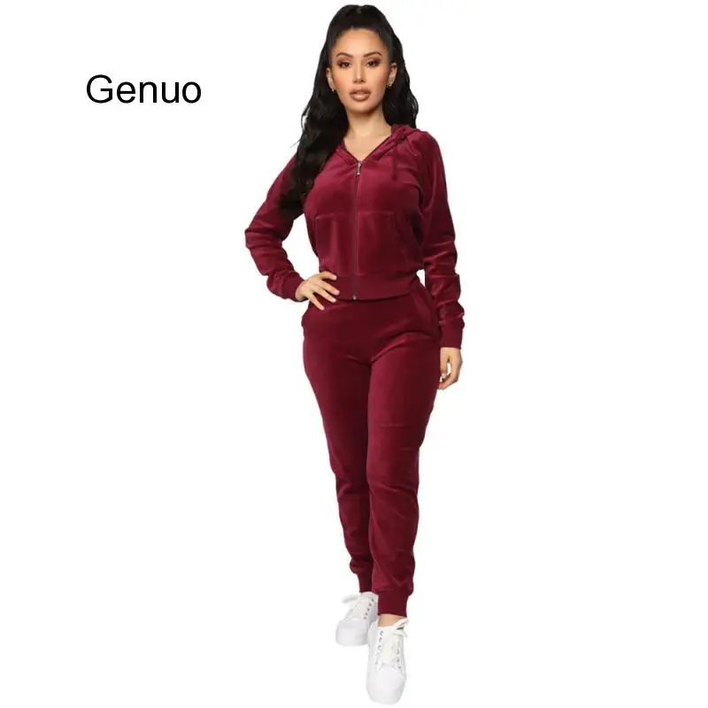 

2020 Autumn Women Hooded Zipper Top And Long Pant Velour Tracksuit Sportwear Christmas Red Velvet Two Piece Set Outfits