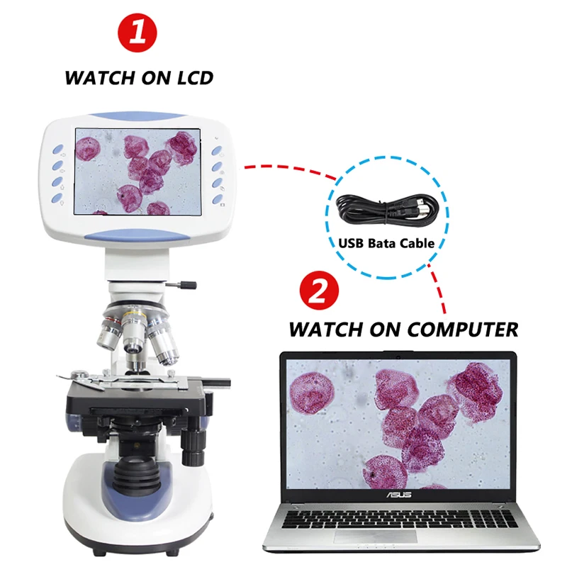 5MP Zoom 200X-5000X profesjonalny elektroniczny cyfrowy mikroskop laboratoryjny HD biologiczny 6,5-calowy aparat LCD karta pamięci interfejs USB