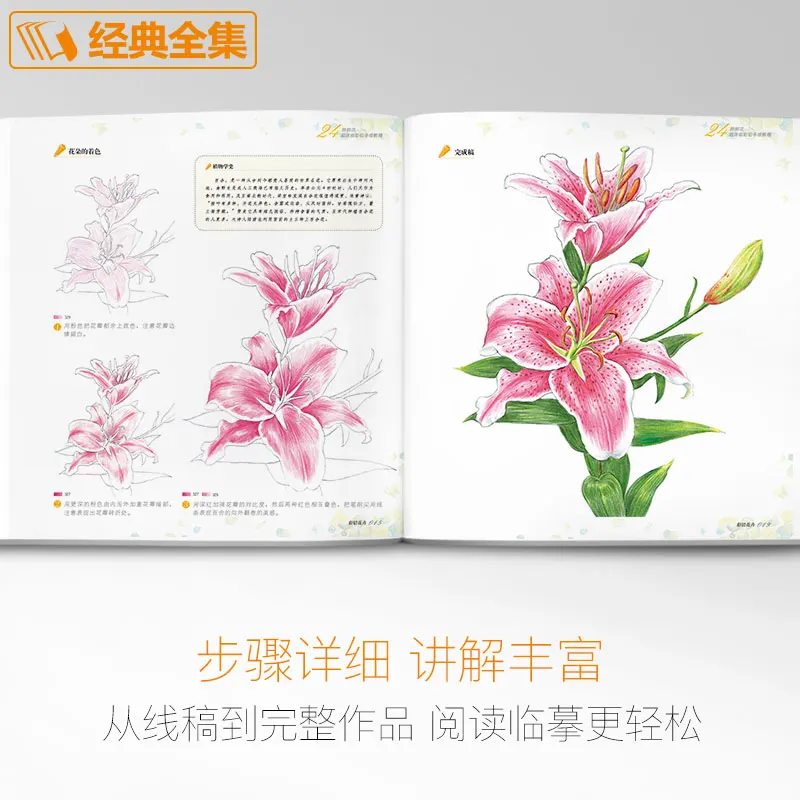 New Color Pencil Drawing Art Book 24 Kinds of Flowers Super Detailed Colored Pencil Hand-painted Tutorial Book