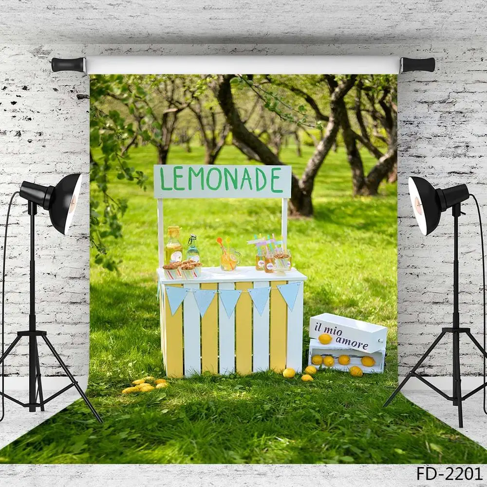 Lemonade-خلفية أشعة الشمس لحفلات استقبال المولود الجديد ، وخلفية التصوير الفوتوغرافي للصور ، وإكسسوارات الاستوديو