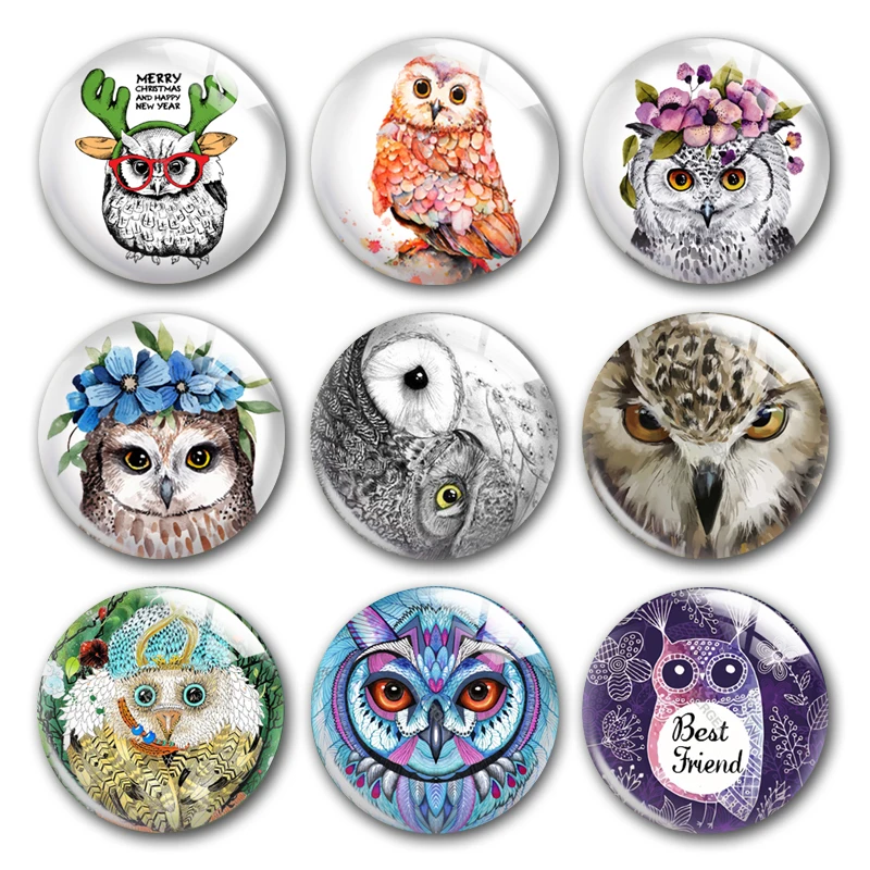 Handmade Lovely Owls Cute Bird Pet Flying Animals Round Photo Glass Cabochon Demo Flat Back Making Findings Jewellery Accessorie