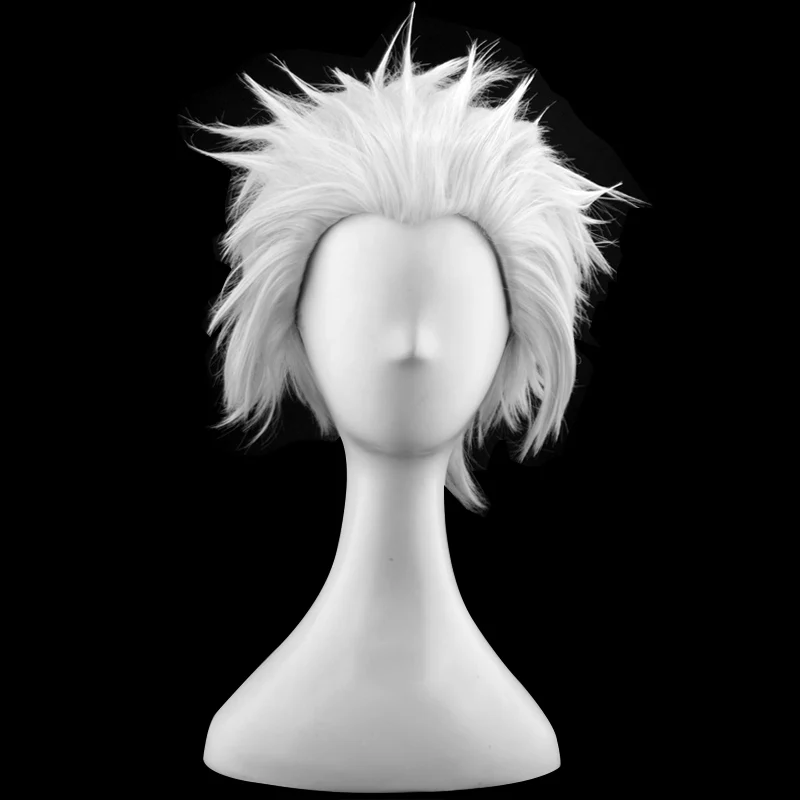 

Anime Koutarou Bokuto Style Short Silver White High Temperature Fiber Hair Halloween Party Costume Cosplay Wig