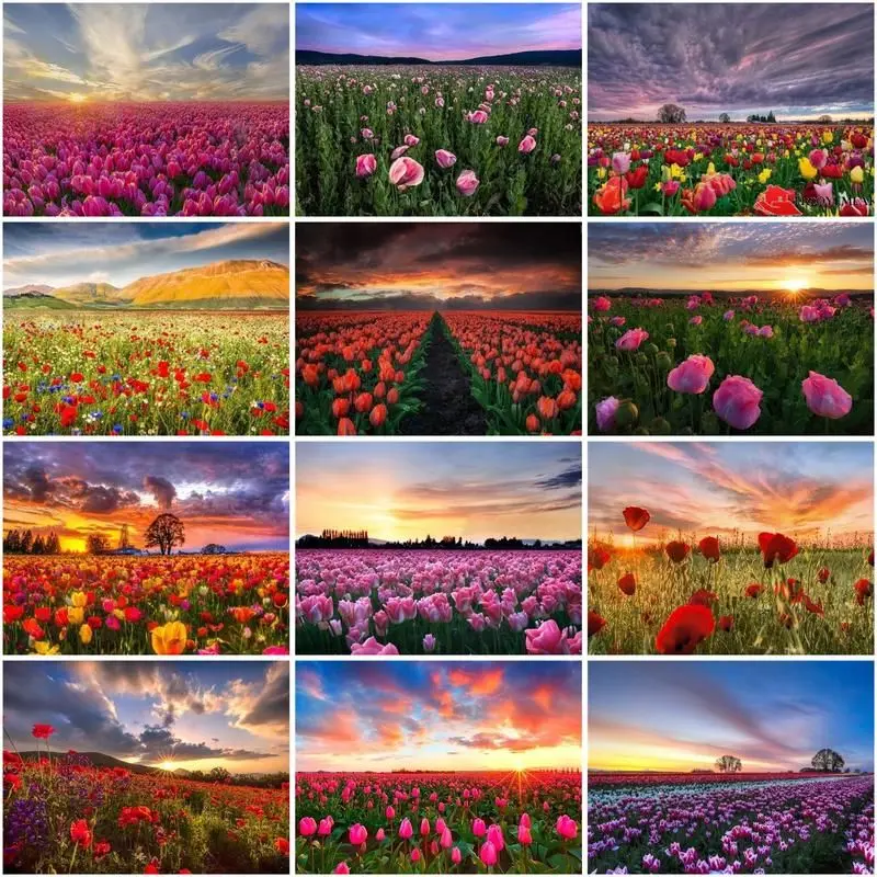 GATYZTORY Flower Painting By Numbers For Adults Diy Landscape Acrylic Paint 60x75cm Framed Tulip Modern Home Wall Decoration