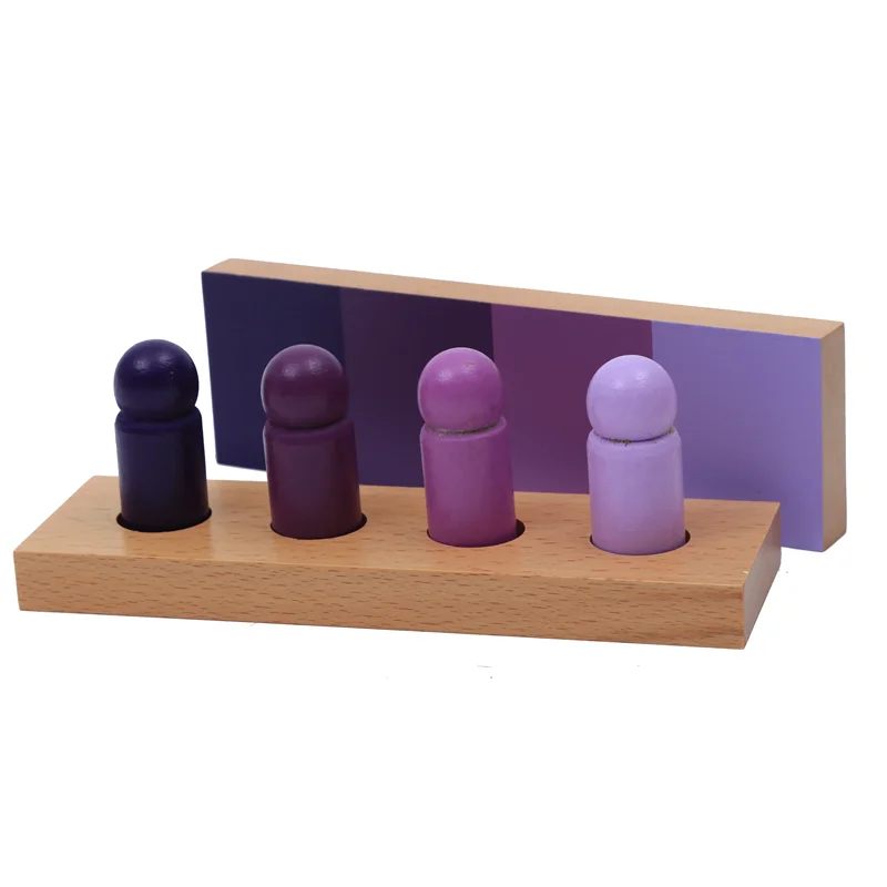 Montessori Sensorial Materials Colour Resemblance Sorting Task Cylinders and Boards Early Childhood Education Game for Children
