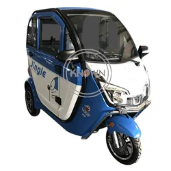 Electric Tricycle For Adults 3 People Seat Family Passenger Vehicle Tuk Tuk Car Trike Mobility Scooter All Customizable COC EEC