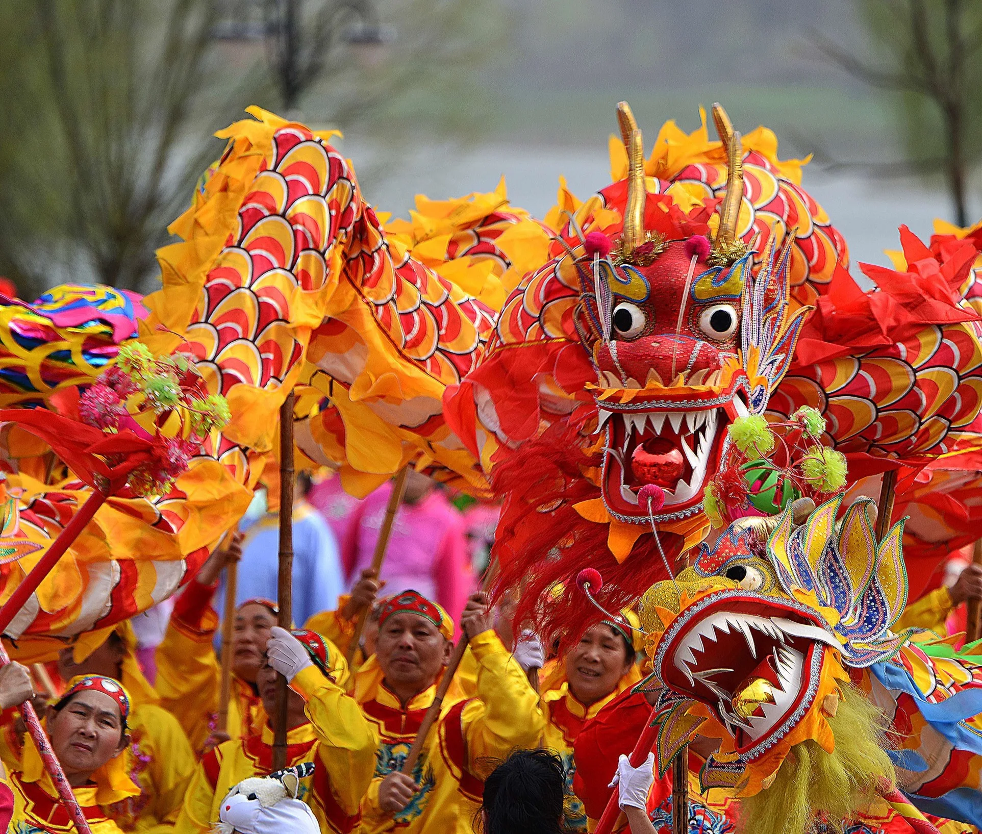 Dragon Dance 10m Size 5  Costume 8 Players Children Stundent Festival Spring Carnival Party Playground Performance Kung Fu China