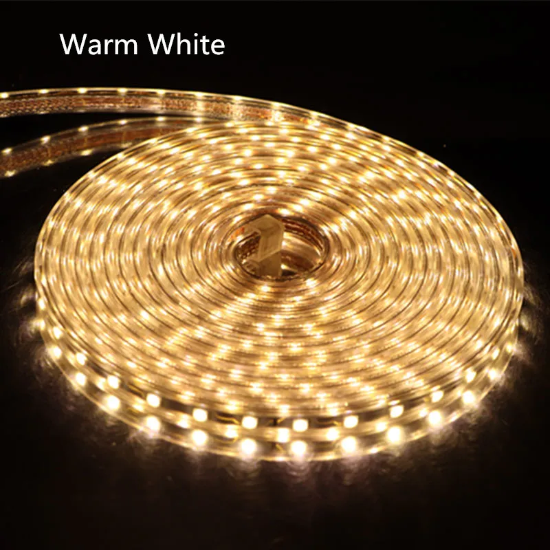 SMD 5050 LED Strip Flexible Light 60leds/m Waterproof Diode tape 220V LED Light With Power Plug 1M/2M/3M/5M/6M/8M/9M/10M/15M/20M