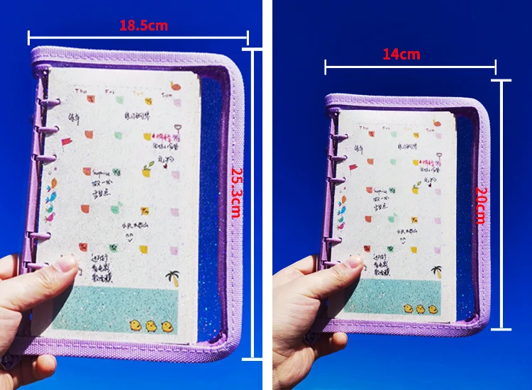 SKYSONIC A5 A6 Reißverschluss-Ordner-Abdeckung, lose Blätter, Organizer, Tagebuch, Kugel, transparentes PVC-Etui, Foto-Organizer, Schreibwaren – Detail 32