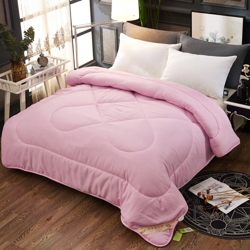 Thicken and Keep Warm Throughout The Year Multi-size Spring Summer Autumn Winter Brushed Quilt Core Air-conditioning Silk Quilt