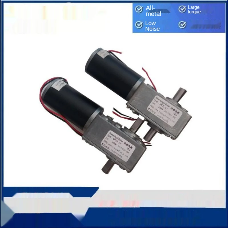 12V/24V Worm Gear Motor High Torque Self-Locking Micro Motor 5840 Gear Motor