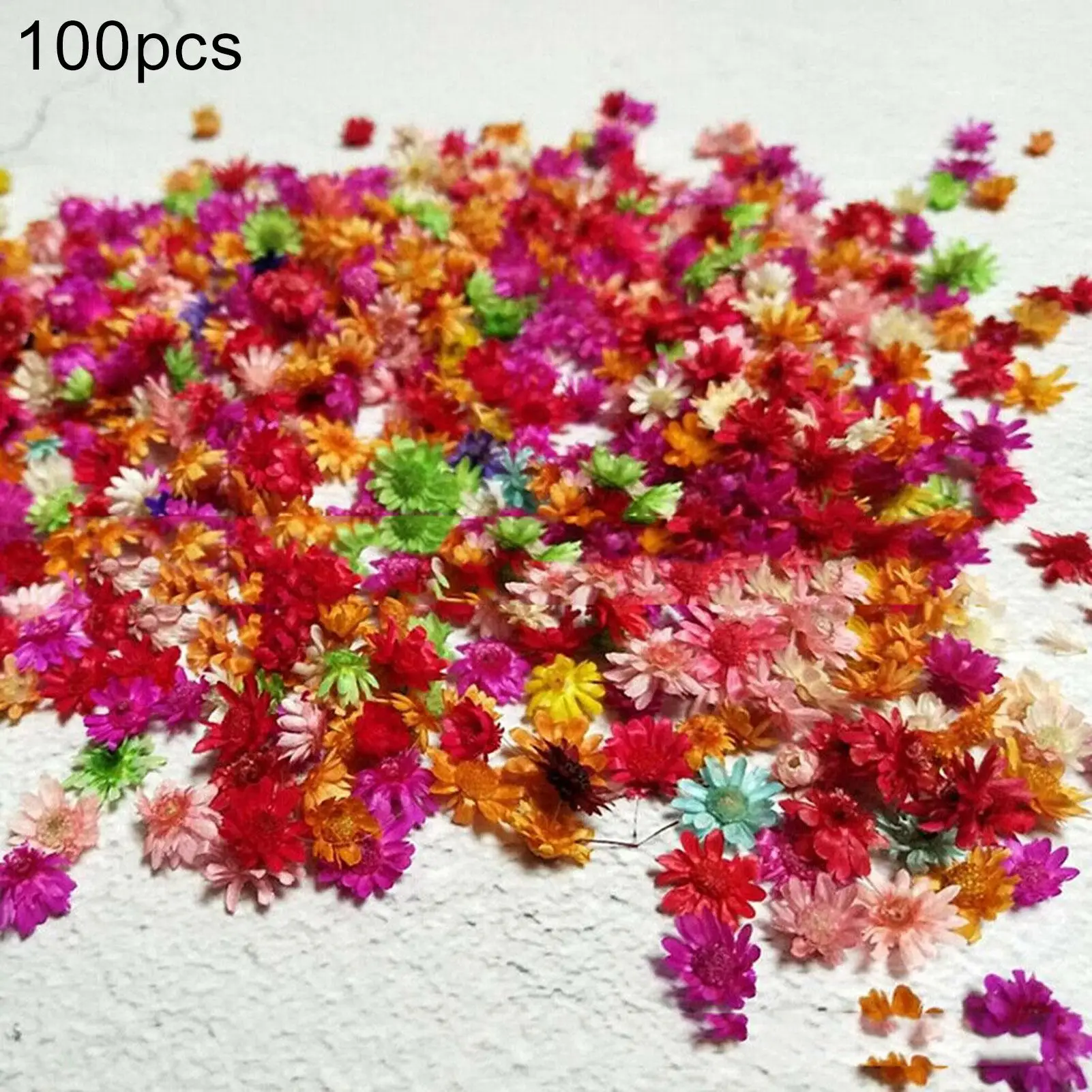 100Pcs Dried Flower Head Chrysanthemum DIY Handmade Craft Nail Art Filling Decoration Artificial  Dried Flower DIY Accessories