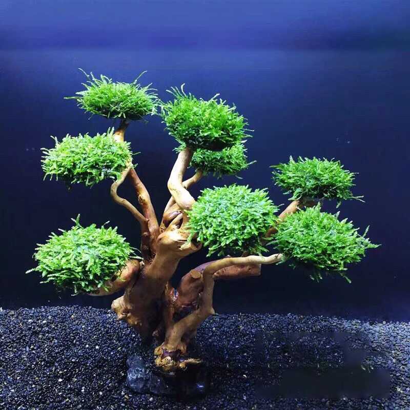 Aquarium Moss Tree Driftwood Fish Tank Landscaping Water Grass Moss Tree Trunk DIY Decoration (No Aquatic Plants)