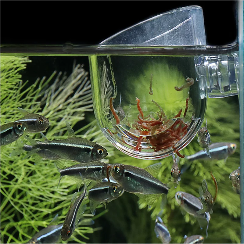 

2PCS Automatic Fish Feeders Acrylic Glass Red Worms Cup With Sucker Planting Cups Aquariums Accessories Fish Tank Feeding Tools