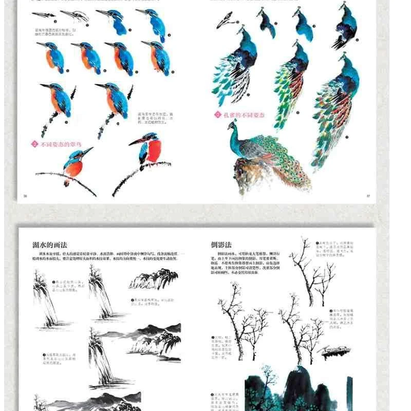 حر التقليدية اللوحة الصينية كتاب التلوين اللوحة الصينية كتاب تعليمي تمهيدي التدريب على المهارات التفصيلية تحليل