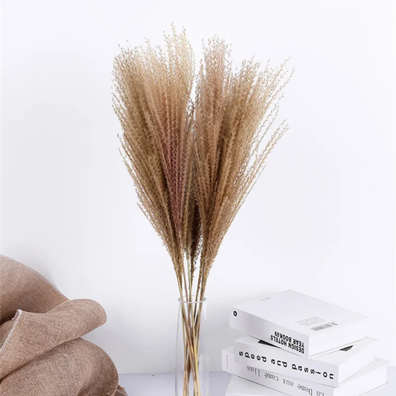 

20pcs Pampas Grass Natural Wild Small Reed Pampa Secas Navidad Wedding Party Decoration Dress Up Horsetail Whisk Dried Flowers