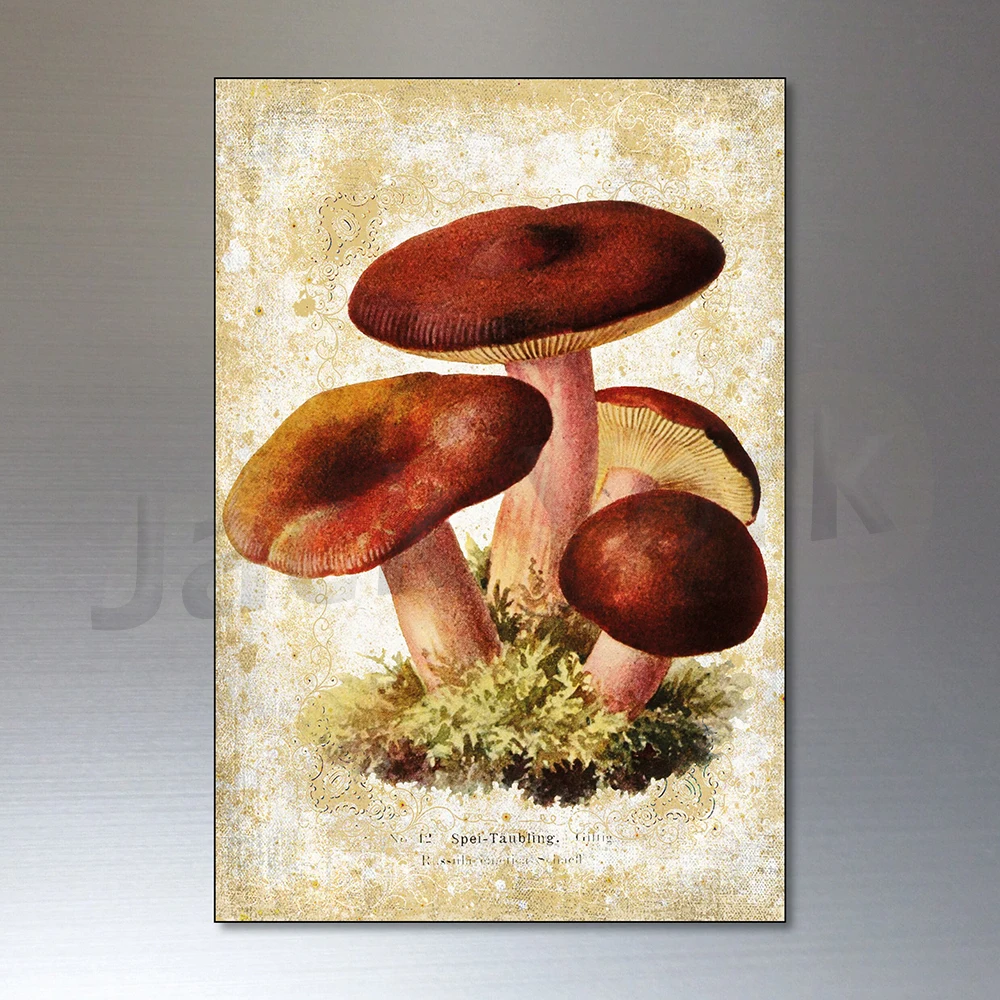 Vintage canvas painting, Victorian mushroom illustration foraging pagan poster printing, wall decoration