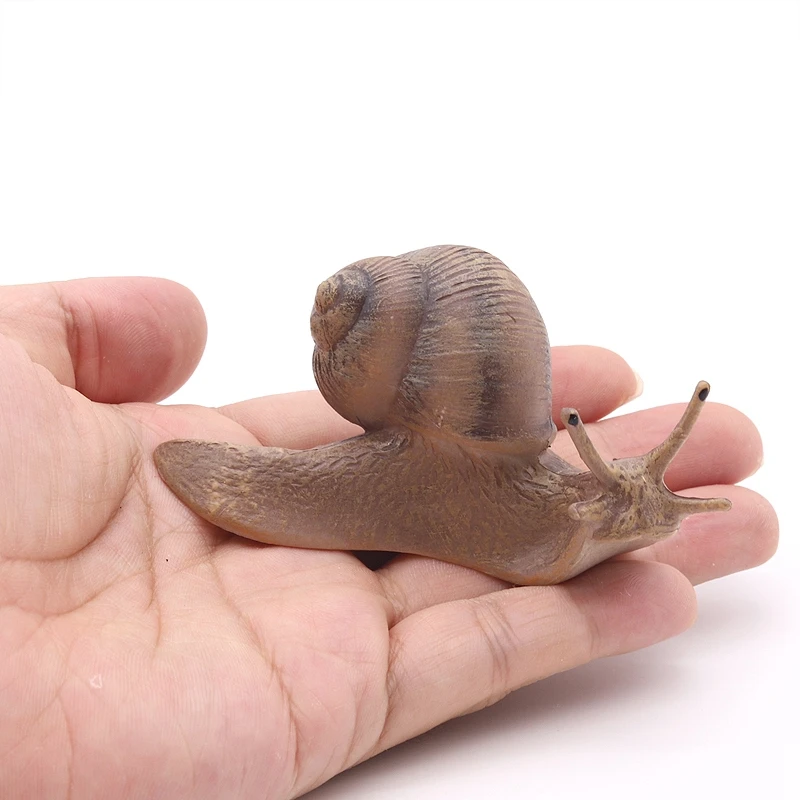 Solid simulation snail model insect animal small snails ornament handicraft garden decoration