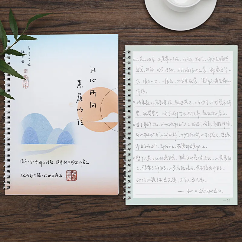 Chinese Copybook Groove Practice Copybook Reusable Handwriting Practice Calligraphy Book Chinese Alphabet Word magic book Libros