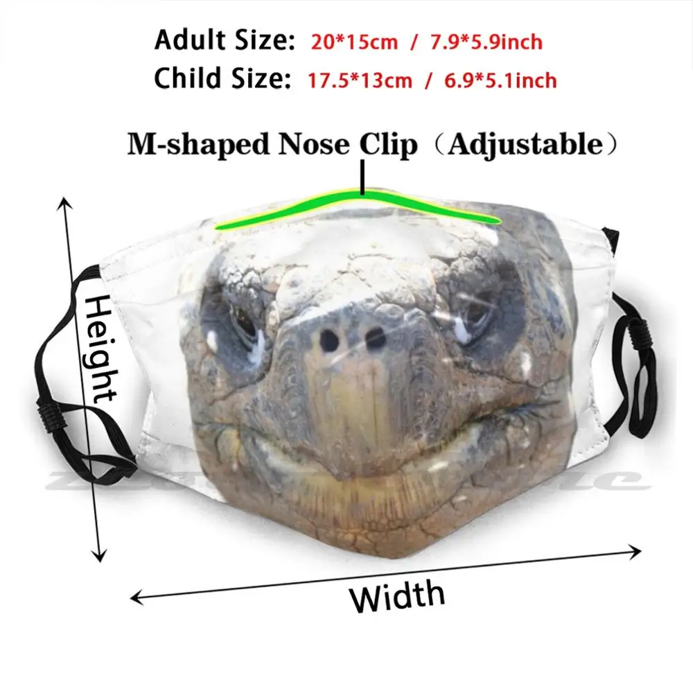 Tortoise. Mask Cloth Reusable Print Filter Washable Tortoise Old Shell Reptile Galapagos