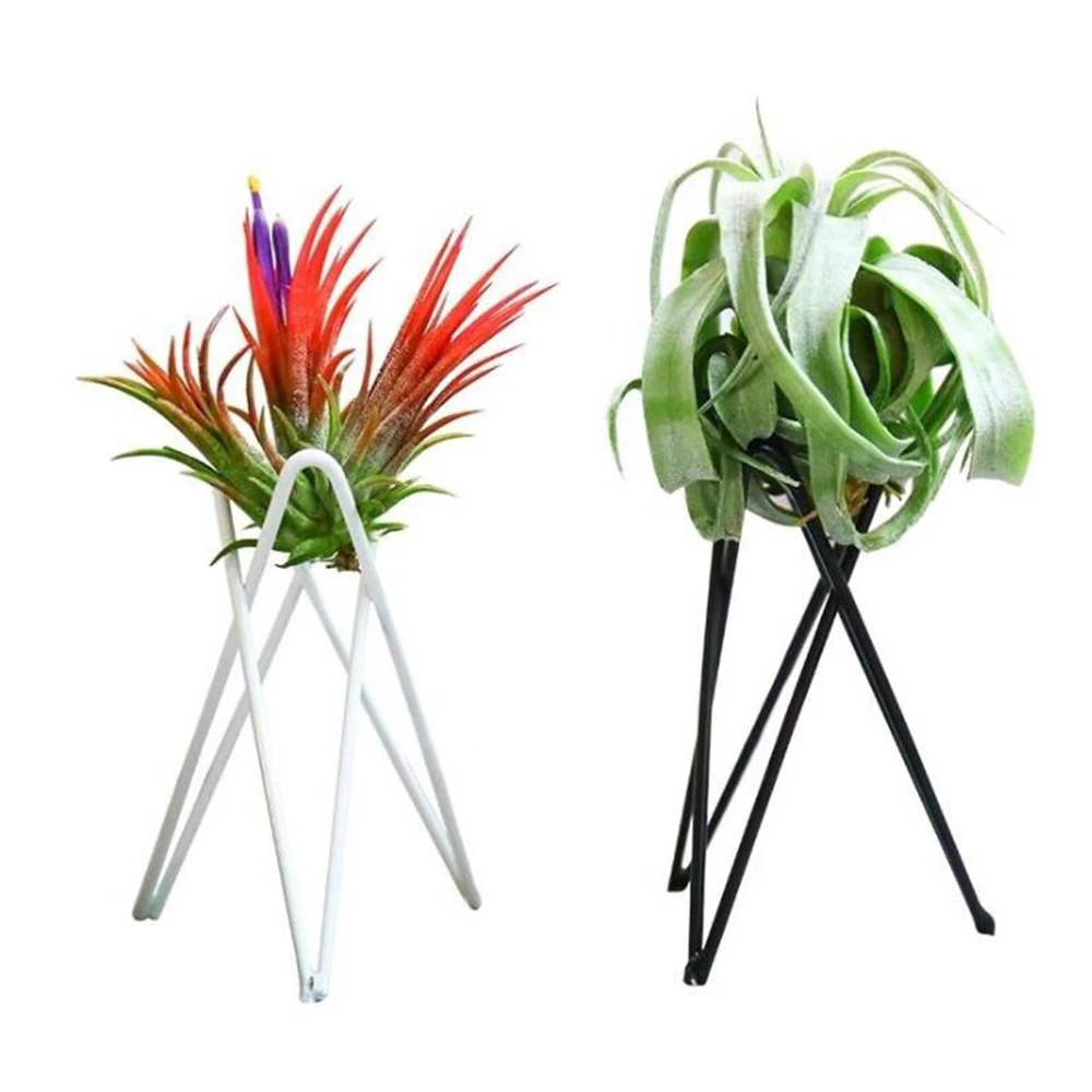 

Air Pineapple Soilless Plants Creative Home Iron Indoor Black And White Bracket Desktop Purification Green Potted Plants