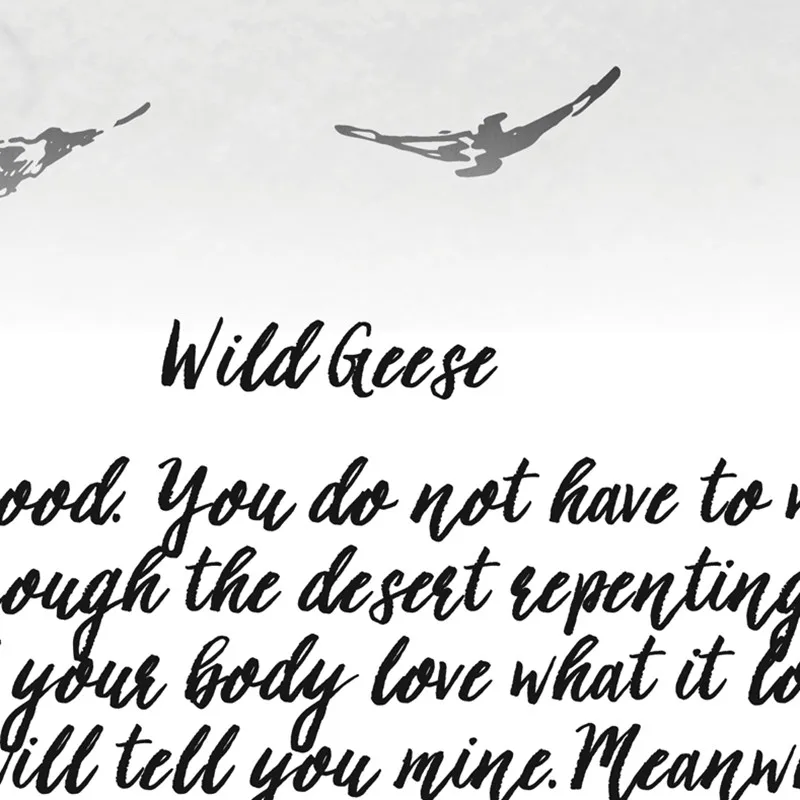 Wild And Precious Life Poetry Poster Mary Oliver Quote Art Prints Inspirational Wall Art Canvas Painting Pictures Home Decor