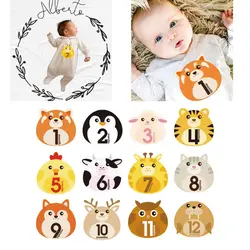 12 Pcs Animal First Year Monthly Milestone Photo Sharing Baby Belly Stickers 1-12 Months #905