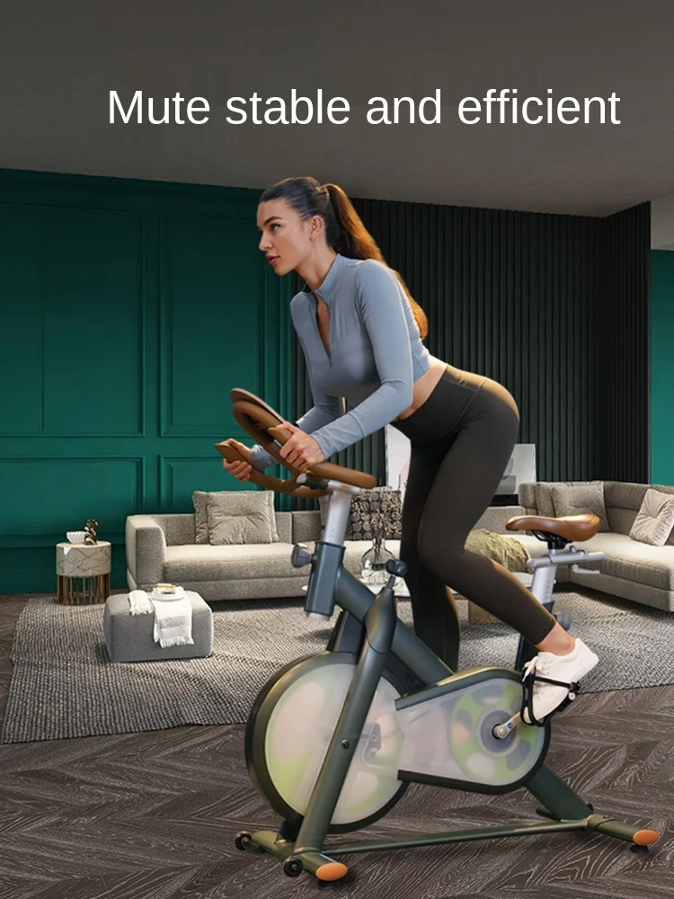 TT Spinning Home Body Slimming Device Exercise Bike Small Indoor Ultra-Quiet Magnetic Control Commercial Gym Dedicated