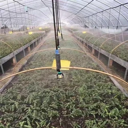 Modern greenhouse Sprinkling Irrigation system with tape/belt