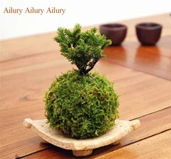 Artifical Jade Moss Ball Green Flowerpot Creative Flowerpot Dendrobium Planting  Box Gardening Potted Household DIY Bonsai