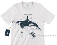 Killer Whale Anatomy T-shirt Orca Whale Shirt Marine Biology Wildlife T-shirt Beach Shirt Marine Biologist Gifts Wildlife