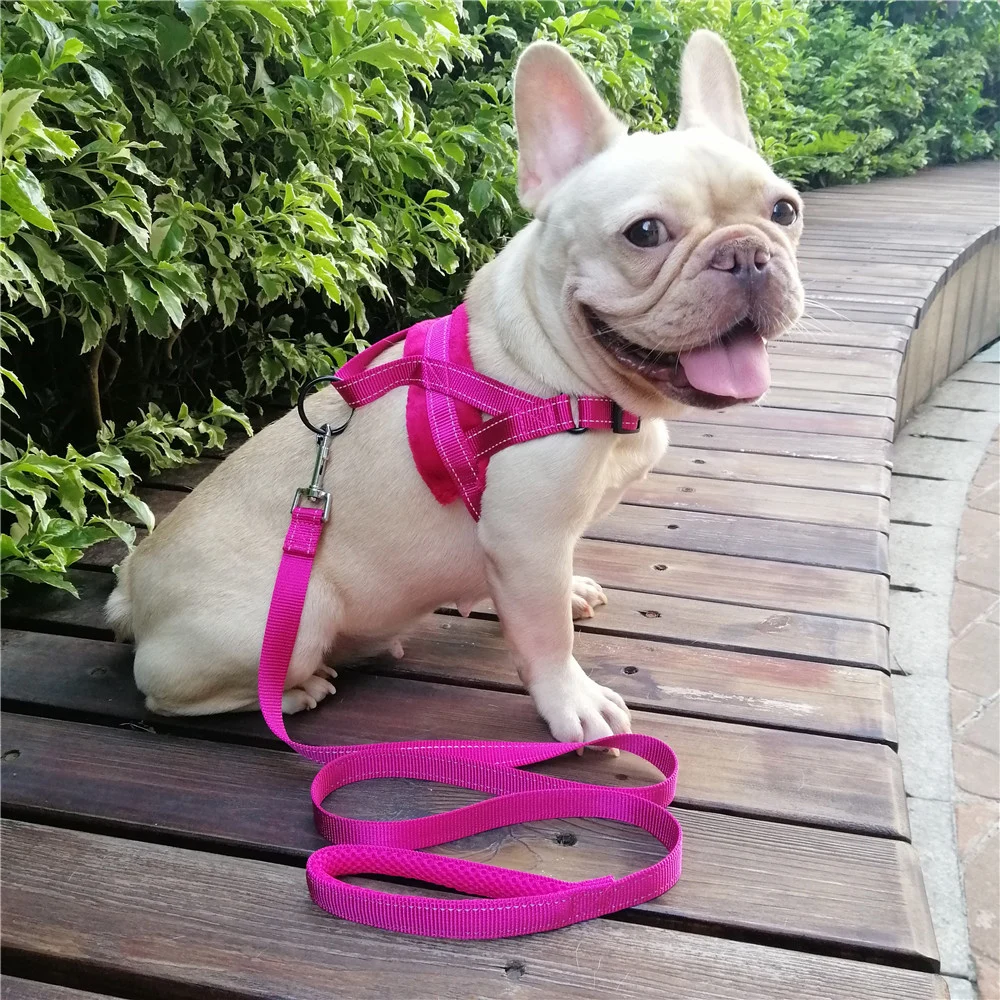 Dog Harness Comfortable Flannel Lining Pet Vest Harness with Handle Reflective Dog Walking Harness with Front Leash Attachment