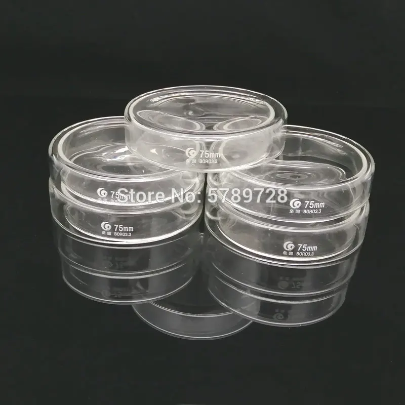 prato da cultura de petri do vidro de borosilicate de pecas diametro 75 mm usado para a cultura de bacterias celulas e bacterias do acido lactico no laboratorio 01