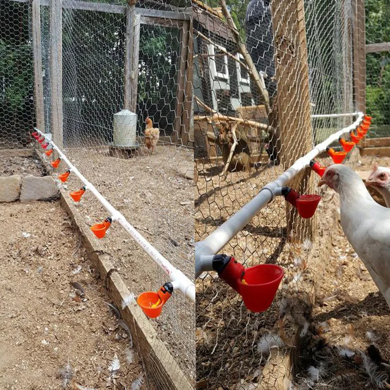 50 Pcs Automatic Quail Drinker Chicken Waterer Bowl Straight Pipe With Yellow Nipple Farm Poultry Drinking Water System