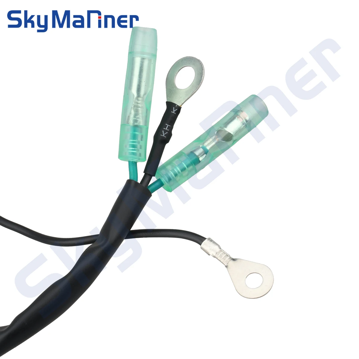 

66T-85533-00 осветительная катушка для лодочного двигателя Yamaha 40HP E40X 2-тактный лодочный двигатель 66T-85533 детали лодочного двигателя