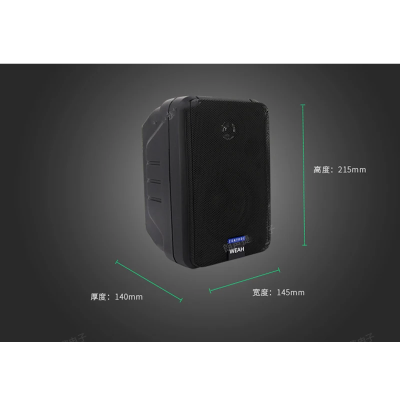 Altoparlante ad alta potenza da 4 pollici ad alta potenza da 100W febbre altoparlante passivo HIFI Monitor Home Theater Surround Conference Wall Audio 8Ohm