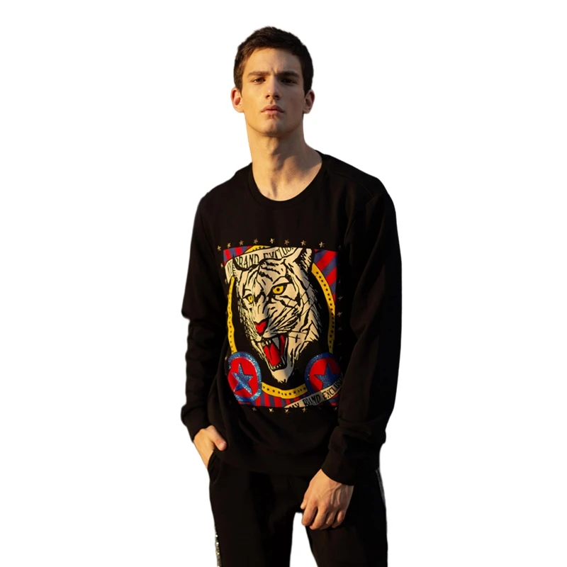 AlexPlein Tiger strass Stud felpa uomo 100% cotone oversize Streetwear One Piece uomo abbigliamento 2020 inverno girocollo