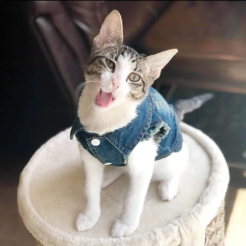 Fashion Cat Denim Vest Puppy Jacket Casual Jeans Coat Outfits Spring Autumn Cat Clothes For Kitten Small Medium Cats Pet Apparel