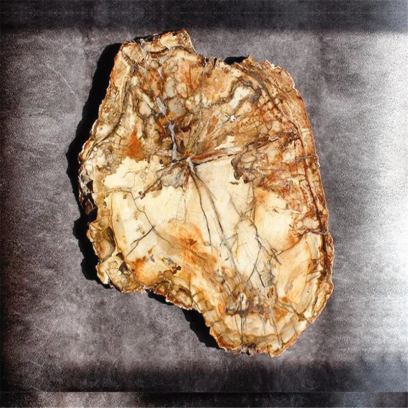 70-1.3kg Natural Madagascar petrified wood crystal polish for furnishing pieces for healing home decor